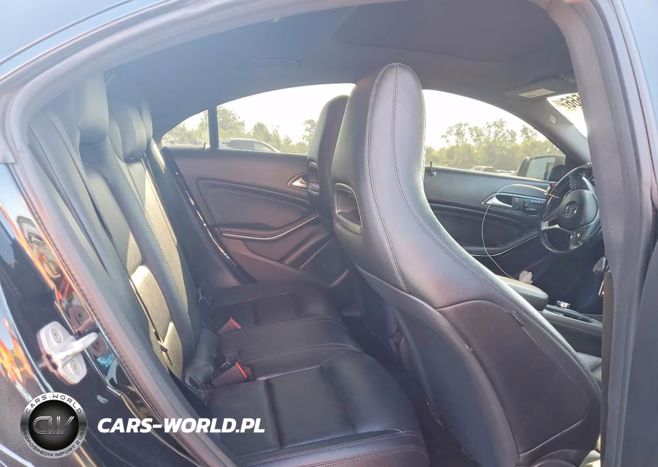 2014 Mercedes-Benz Cla 250 VIN:WDDSJ4EB2EN057923 - 10