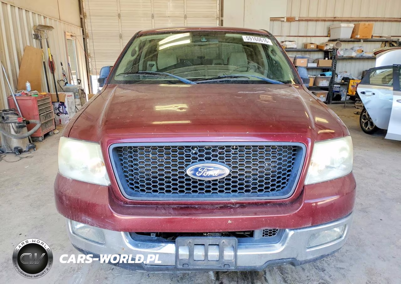 2005 Ford F-150 VIN:1FTRX12W15FB15446 - 5