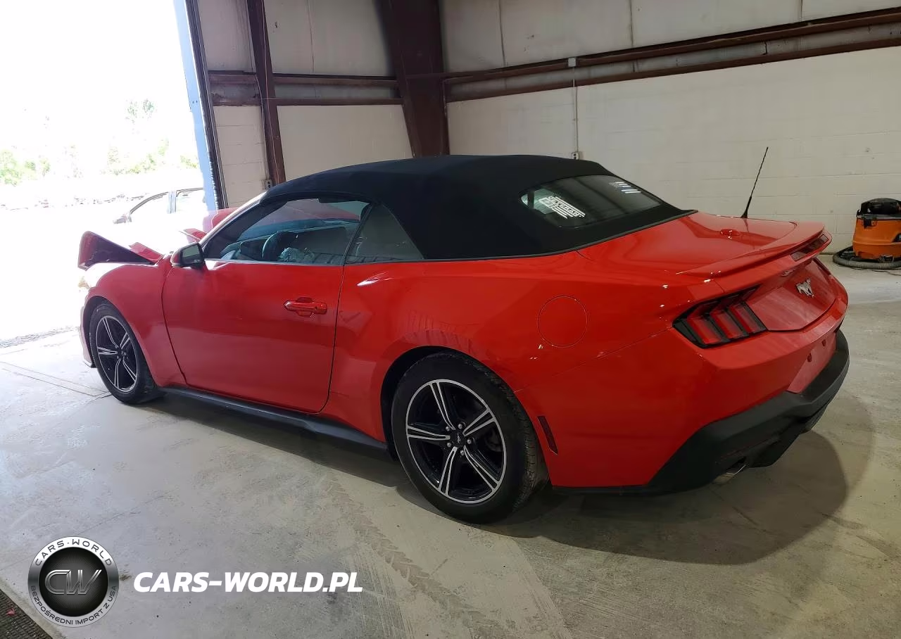 2024 Ford Mustang VIN:1FAGP8UH2R5119389 - 2