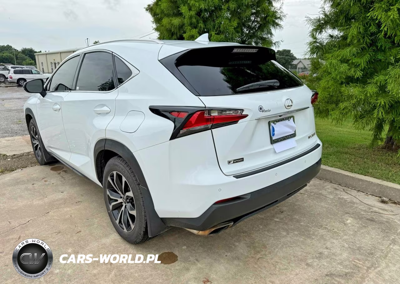 2016 Lexus Nx 200T F Sport VIN:JTJBARBZ9G2065639 - 3