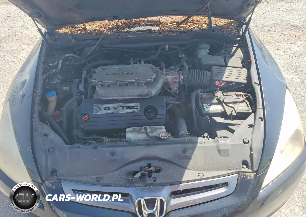 2004 Honda Accord Ex VIN:1HGCM66514A062404 - 11