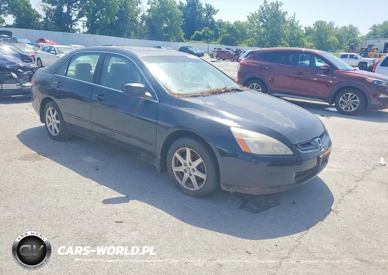 2004 Honda Accord Ex VIN:1HGCM66514A062404 - 4