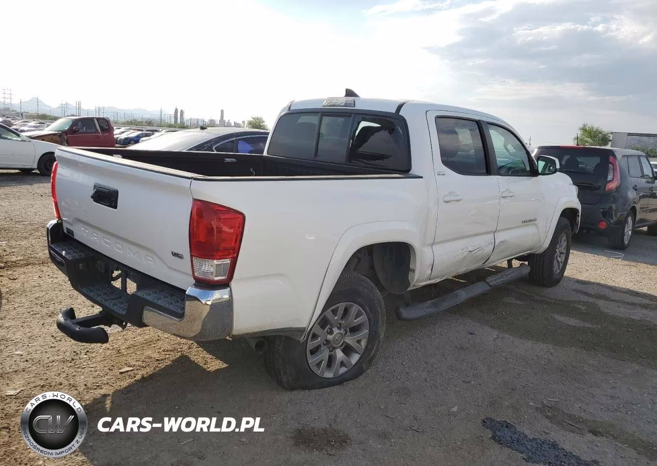 2017 Toyota Tacoma Double Cab VIN:5TFAZ5CN3HX044379 - 3