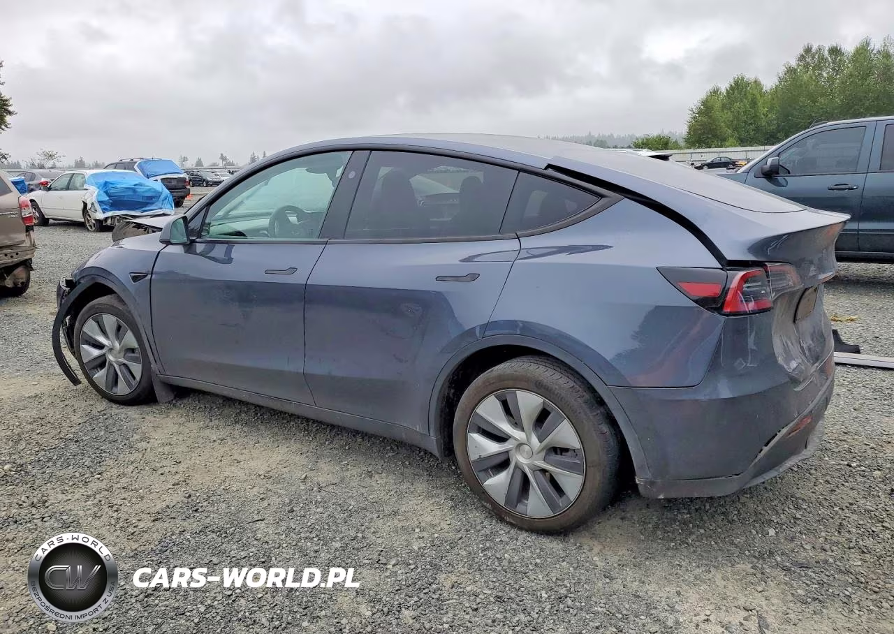 2023 Tesla Model Y VIN:7SAYGDEE6PA162088 - 2