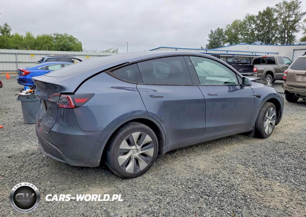 2023 Tesla Model Y VIN:7SAYGDEE6PA162088 - 3