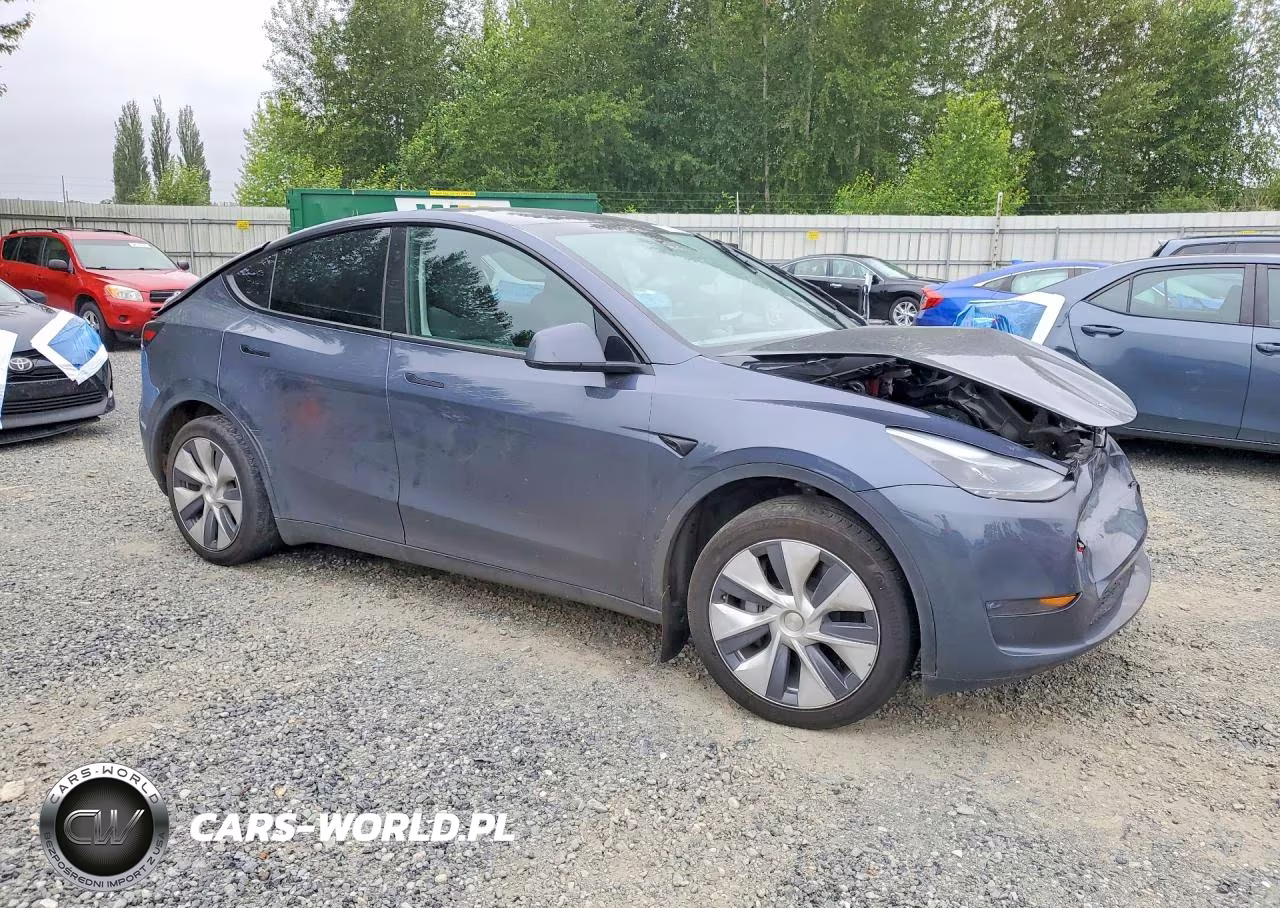 2023 Tesla Model Y VIN:7SAYGDEE6PA162088 - 4
