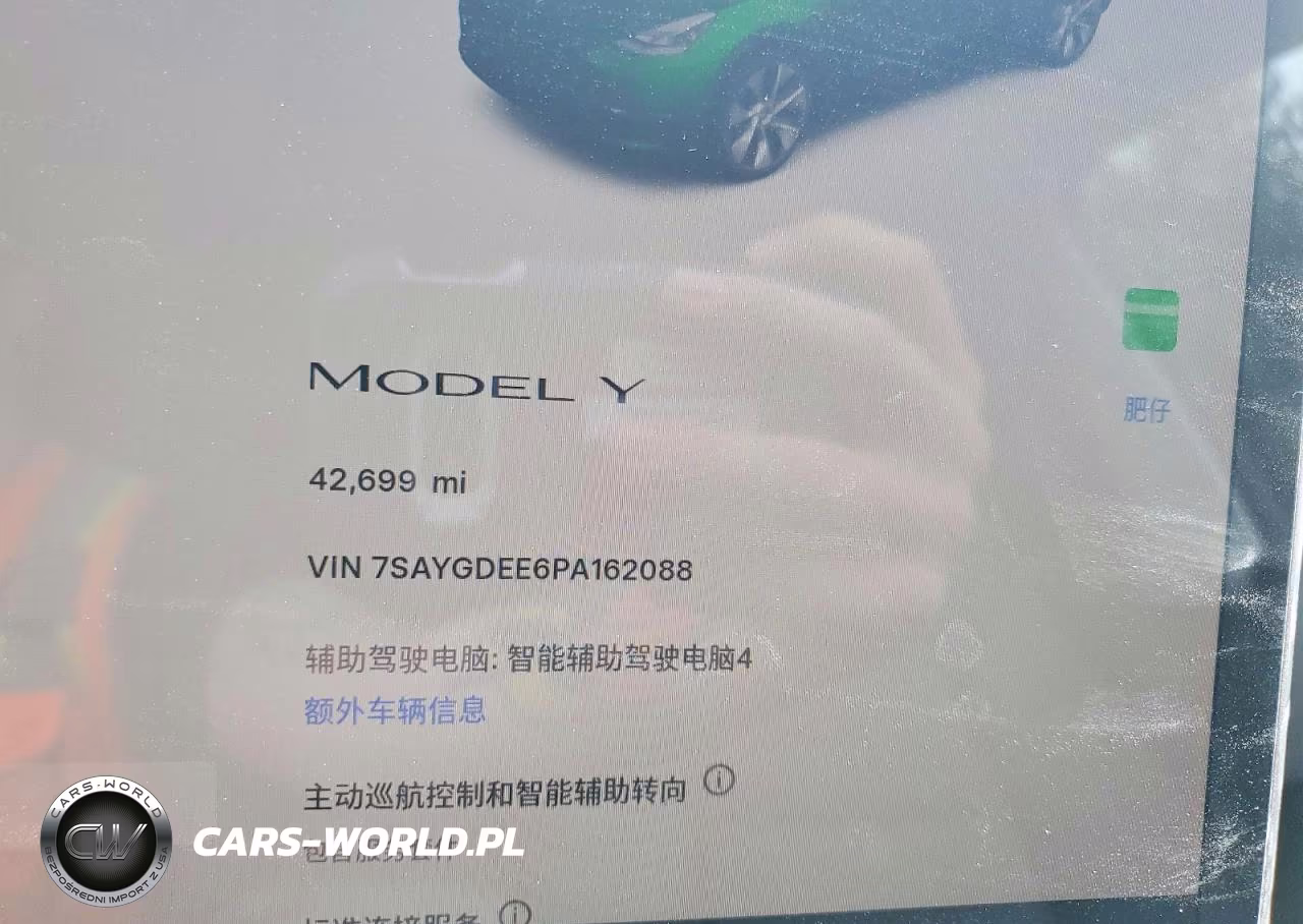 2023 Tesla Model Y VIN:7SAYGDEE6PA162088 - 9