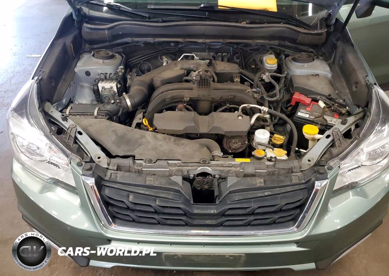 2018 Subaru Forester 2.5I Premium VIN:JF2SJAEC9JH535461 - 12