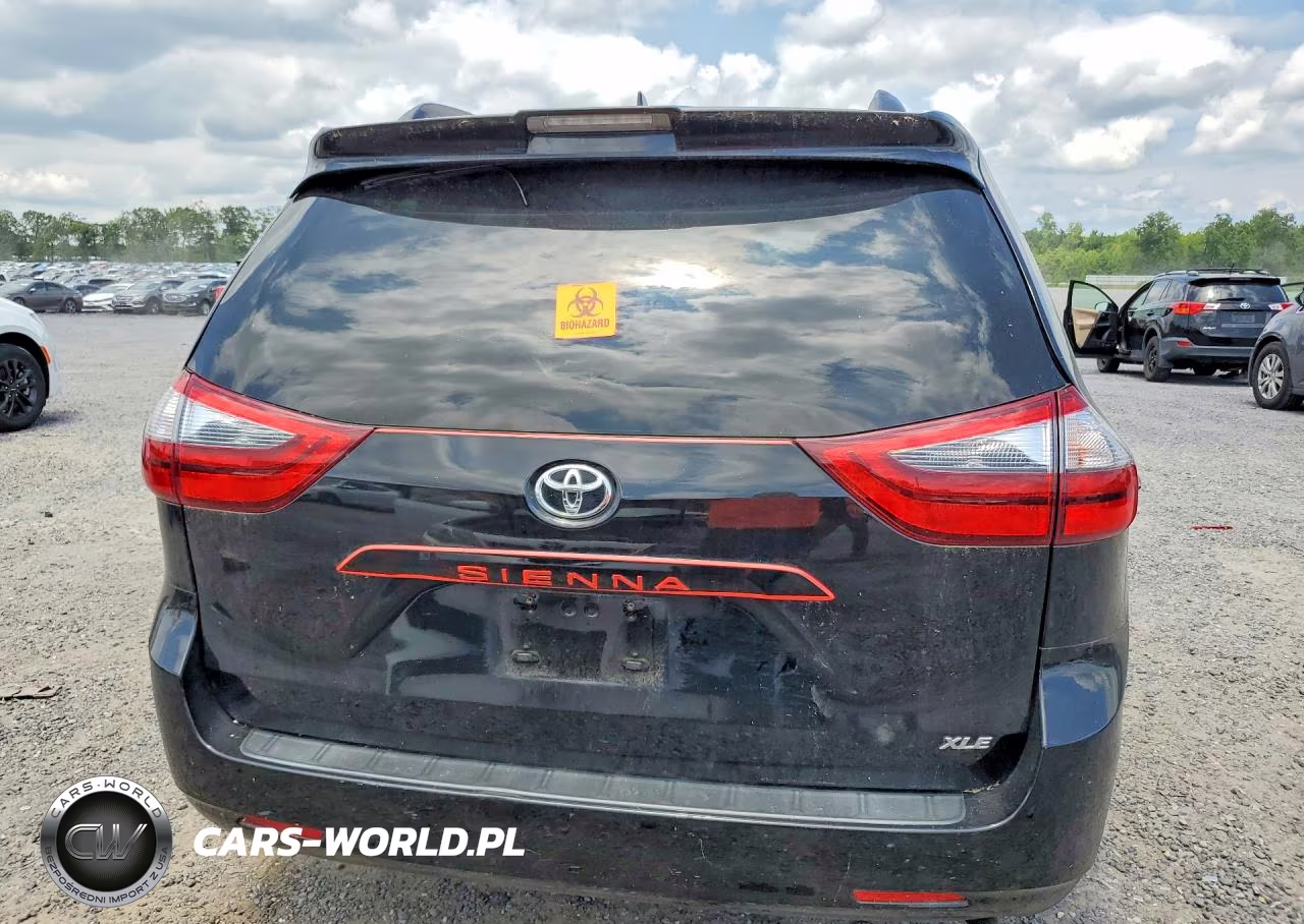 2020 Toyota Sienna Xle 8-Passenger VIN:5TDYZ3DC8LS030685 - 6