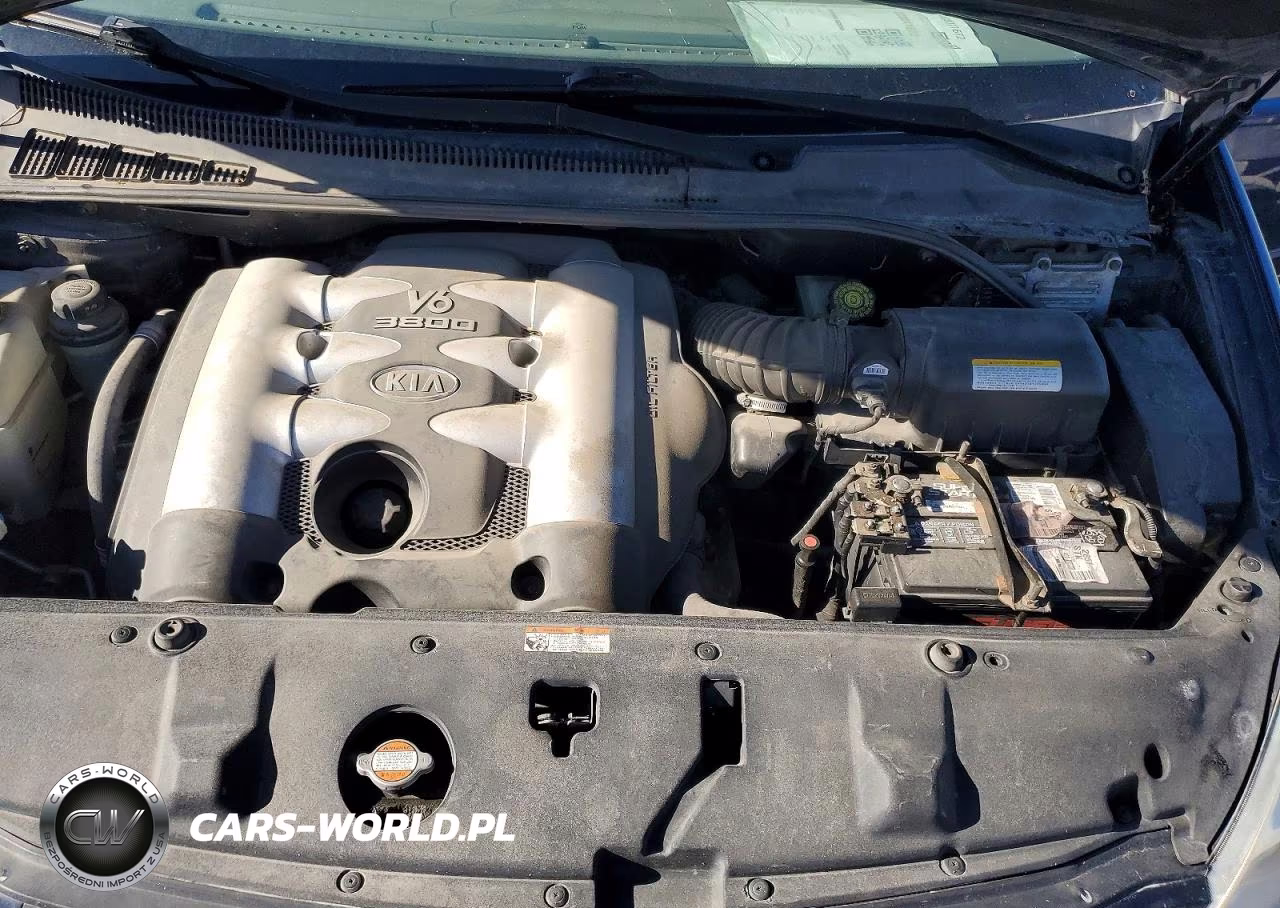 2006 Kia Sedona Lx VIN:KNDMB233066037973 - 12