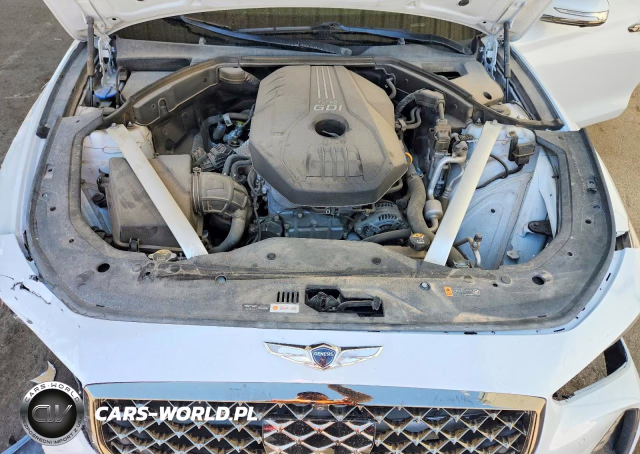 2019 Hyundai Genesis VIN:KMTG44LA8KU022078 - 11