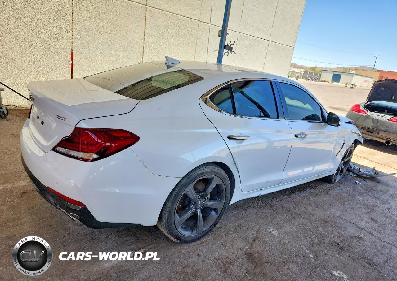 2019 Hyundai Genesis VIN:KMTG44LA8KU022078 - 3