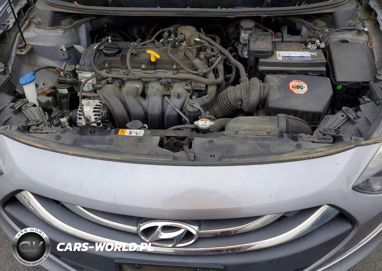 2014 Hyundai Elantra Gt Base VIN:KMHD35LHXEU165542 - 11