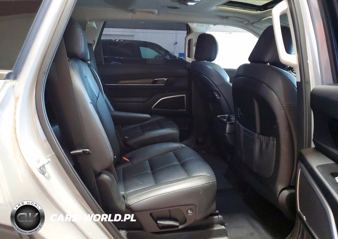 2021 Kia Telluride Ex VIN:5XYP3DHC3MG128177 - 11