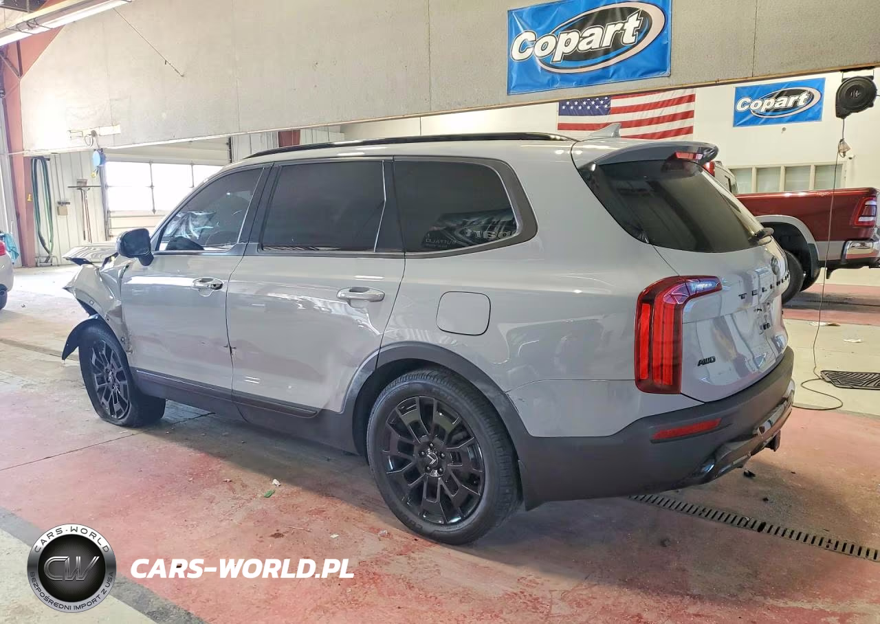 2021 Kia Telluride Ex VIN:5XYP3DHC3MG128177 - 2