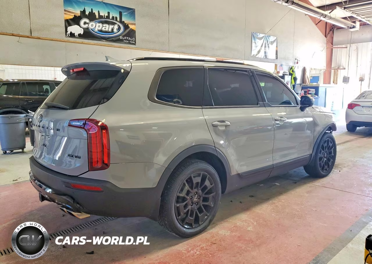 2021 Kia Telluride Ex VIN:5XYP3DHC3MG128177 - 3