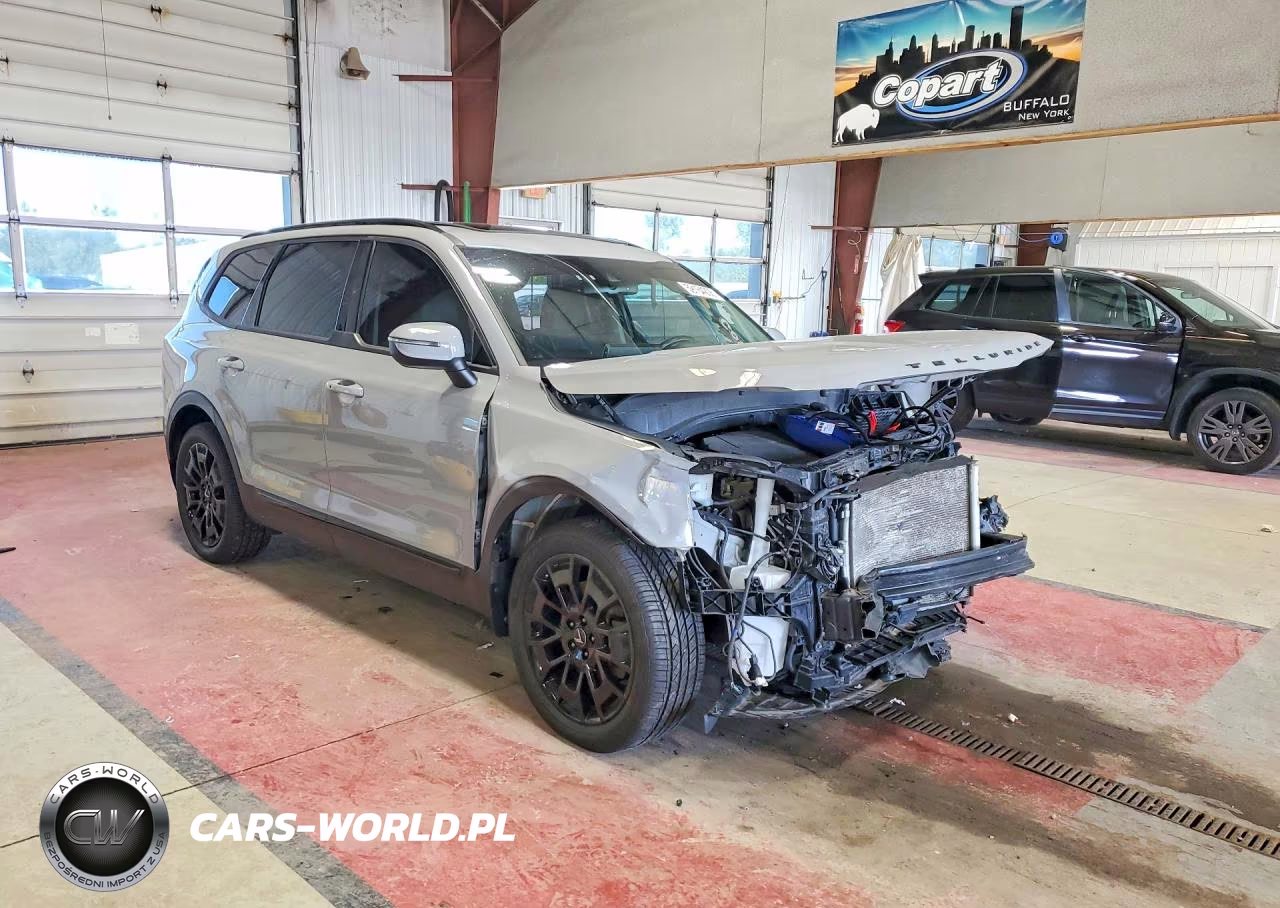 2021 Kia Telluride Ex VIN:5XYP3DHC3MG128177 - 4