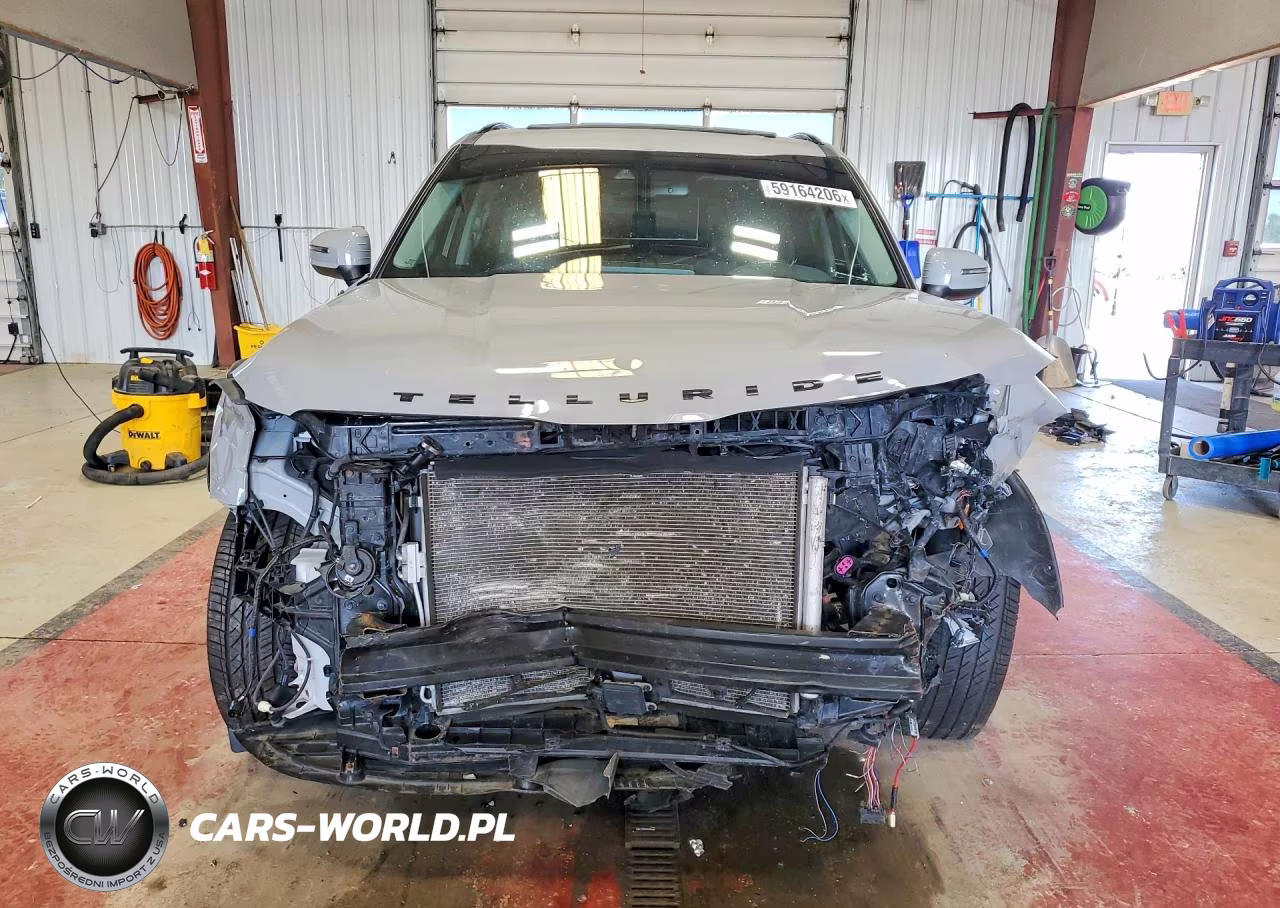 2021 Kia Telluride Ex VIN:5XYP3DHC3MG128177 - 5