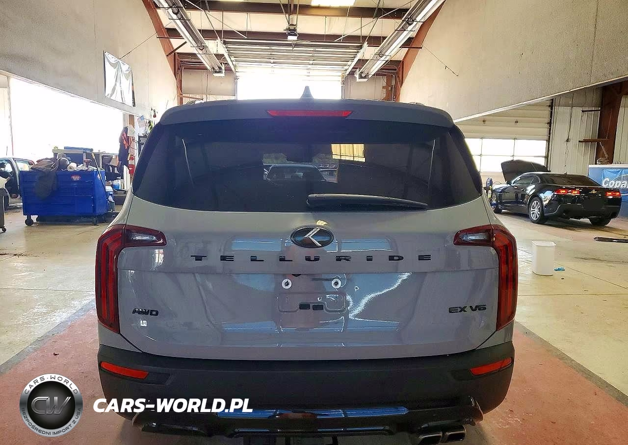 2021 Kia Telluride Ex VIN:5XYP3DHC3MG128177 - 6