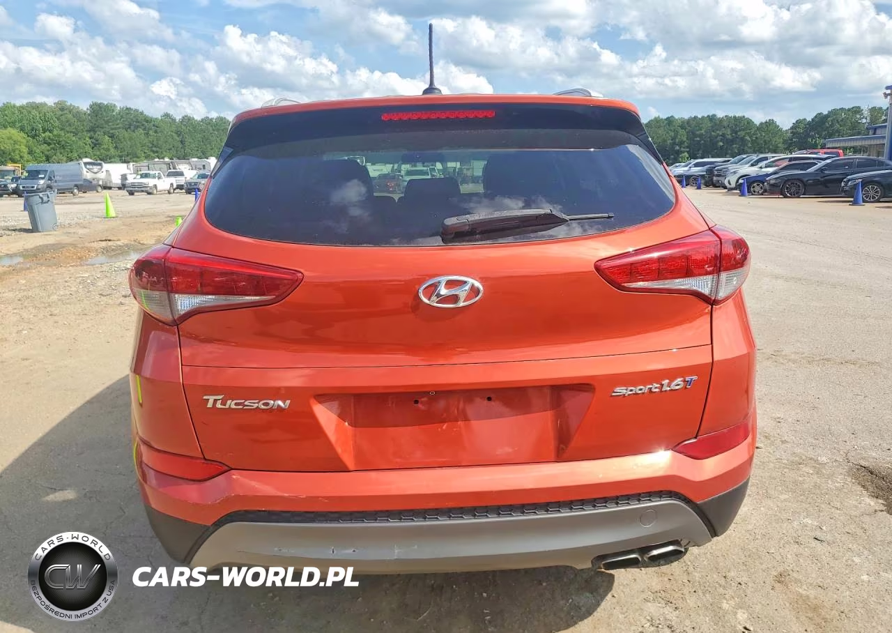 2016 Hyundai Tucson Sport VIN:KM8J33A2XGU112140 - 6