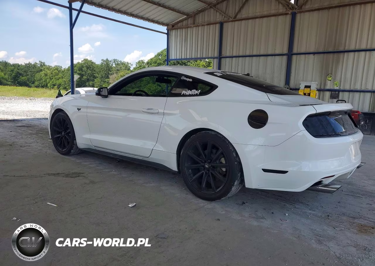 2016 Ford Mustang VIN:1FA6P8AM0G5207853 - 2