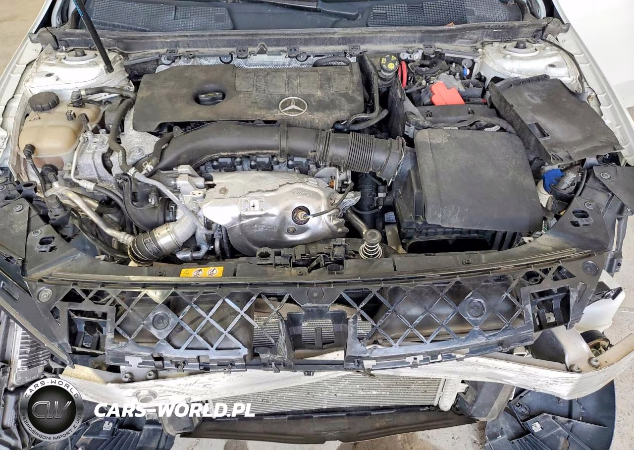 2019 Mercedes-Benz A 220 VIN:WDD3G4EB2KW025496 - 11