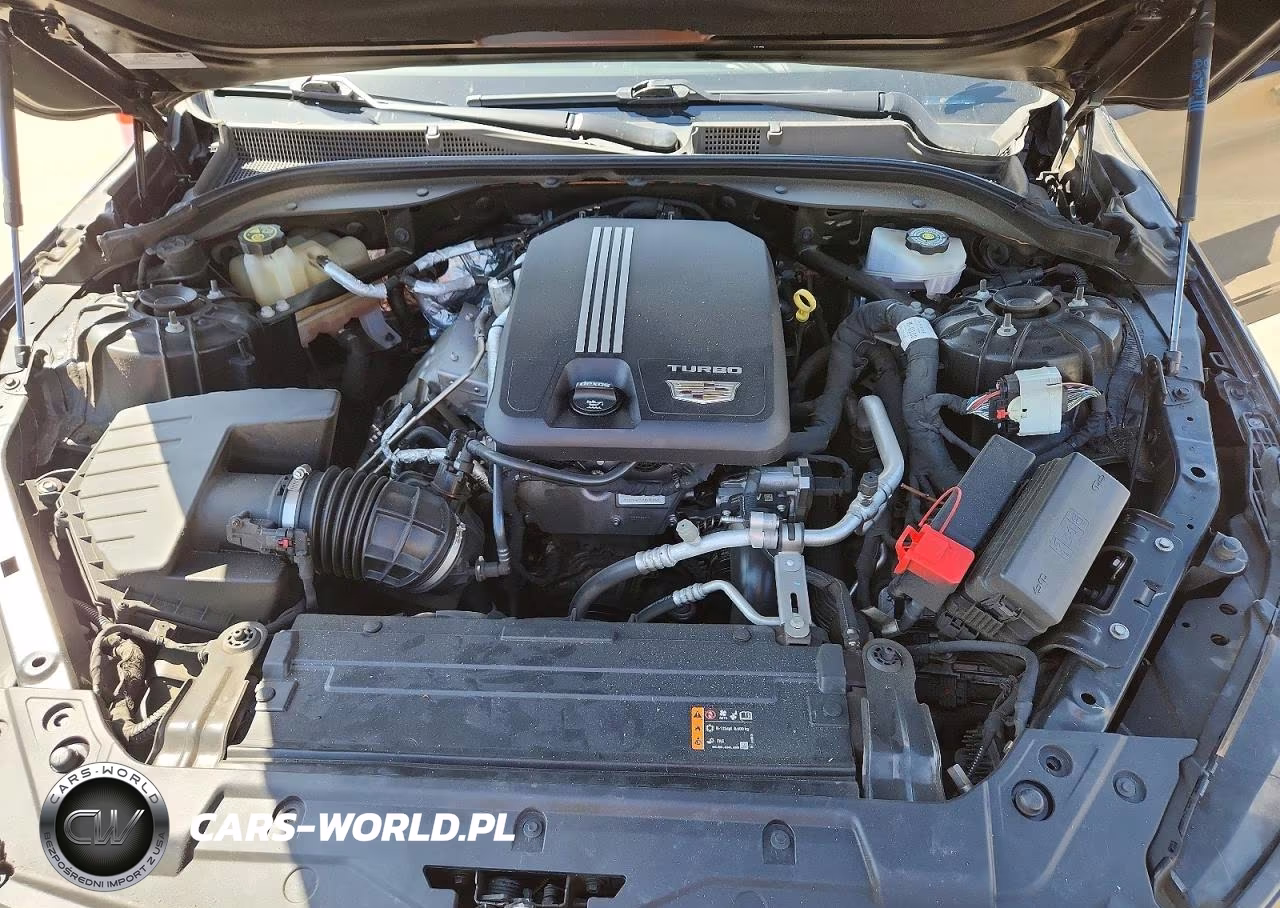 2022 Cadillac Ct5 Premium Luxury VIN:1G6DN5RK9N0117865 - 11