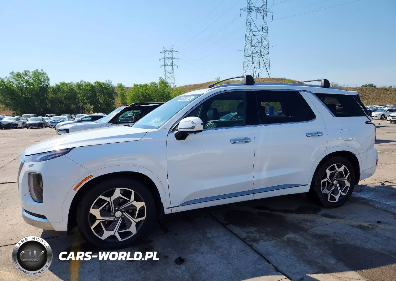 2021 Hyundai Palisade Calligraphy VIN:KM8R7DHE8MU312992 - 1