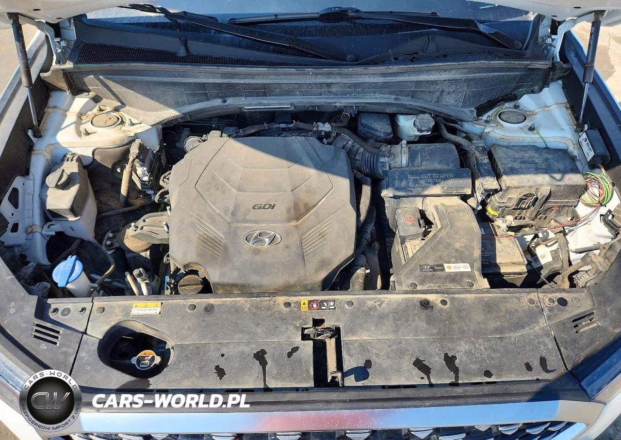 2021 Hyundai Palisade Calligraphy VIN:KM8R7DHE8MU312992 - 12