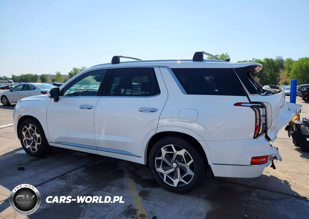 2021 Hyundai Palisade Calligraphy VIN:KM8R7DHE8MU312992 - 2