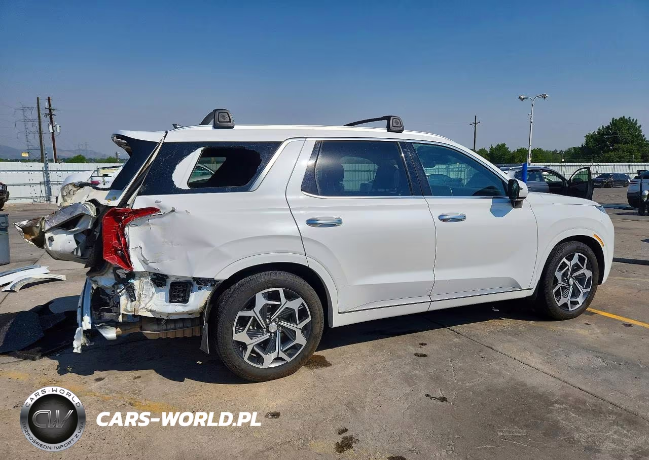 2021 Hyundai Palisade Calligraphy VIN:KM8R7DHE8MU312992 - 3