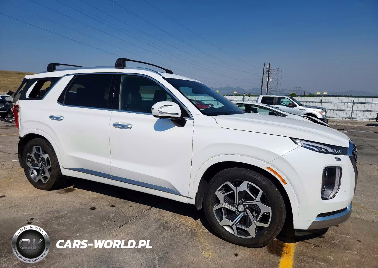 2021 Hyundai Palisade Calligraphy VIN:KM8R7DHE8MU312992 - 4