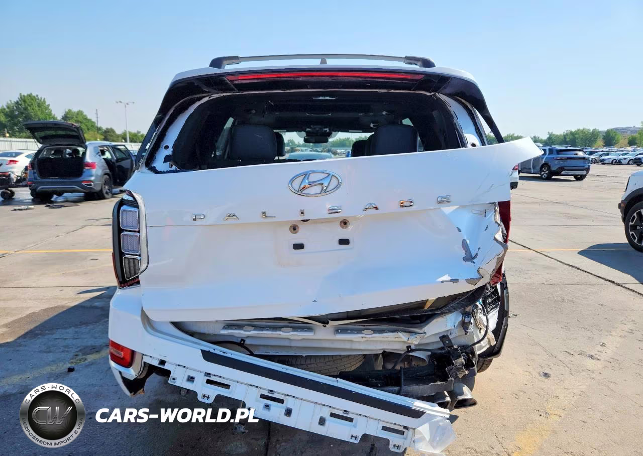 2021 Hyundai Palisade Calligraphy VIN:KM8R7DHE8MU312992 - 6