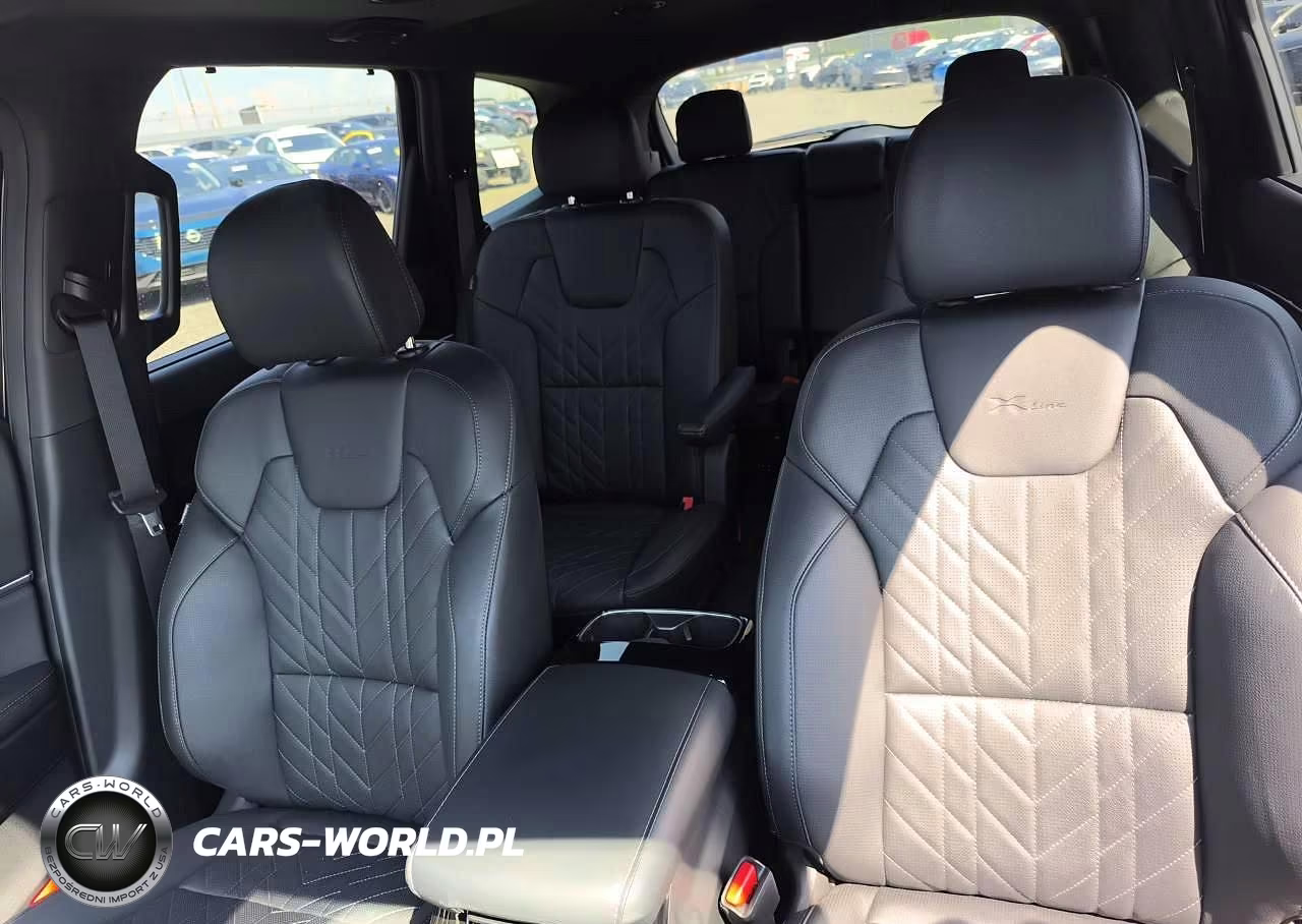 2025 Kia Telluride Ex X-Line VIN:5XYP3DGC2SG614607 - 10