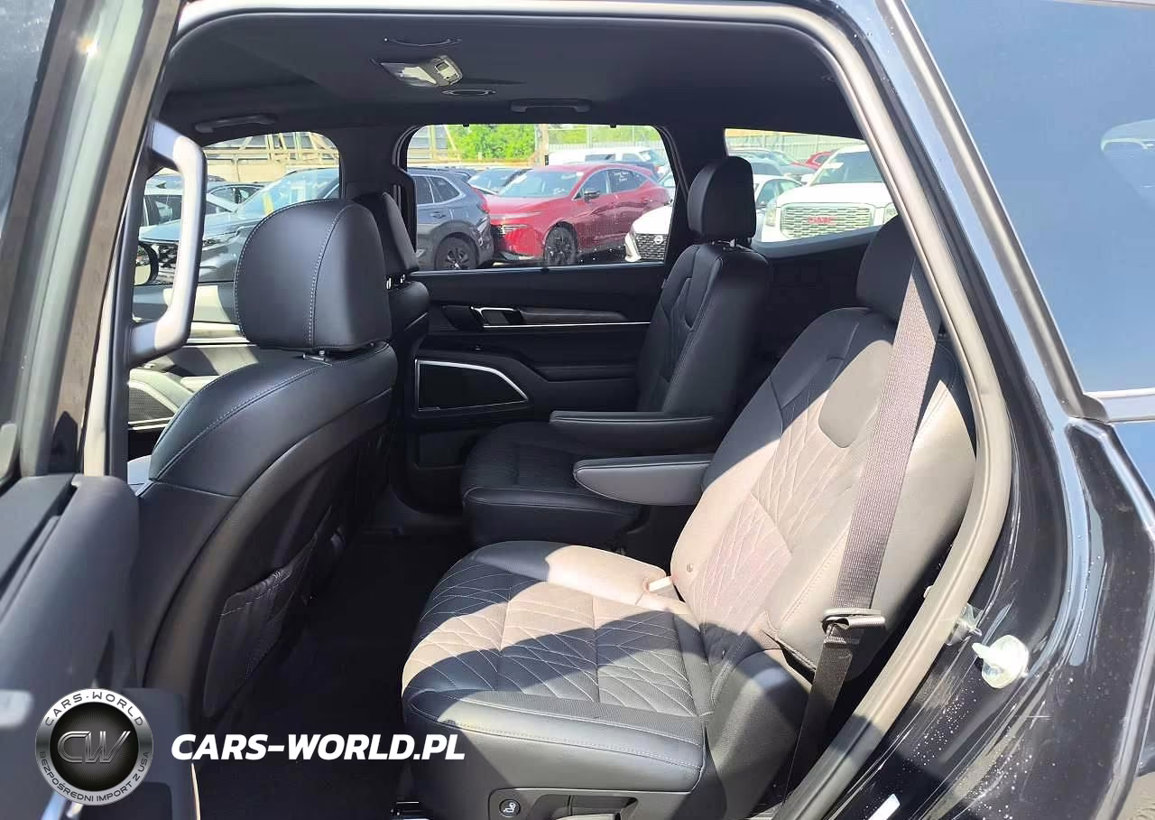 2025 Kia Telluride Ex X-Line VIN:5XYP3DGC2SG614607 - 12