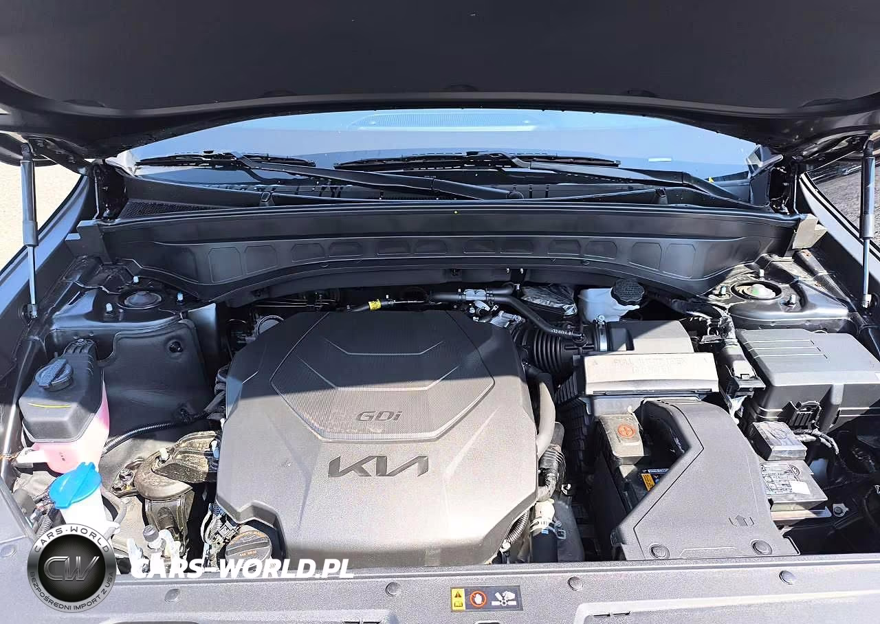 2025 Kia Telluride Ex X-Line VIN:5XYP3DGC2SG614607 - 13