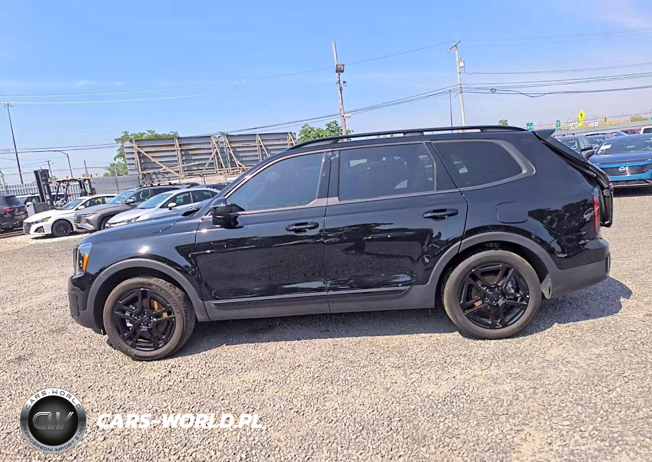2025 Kia Telluride Ex X-Line VIN:5XYP3DGC2SG614607 - 15