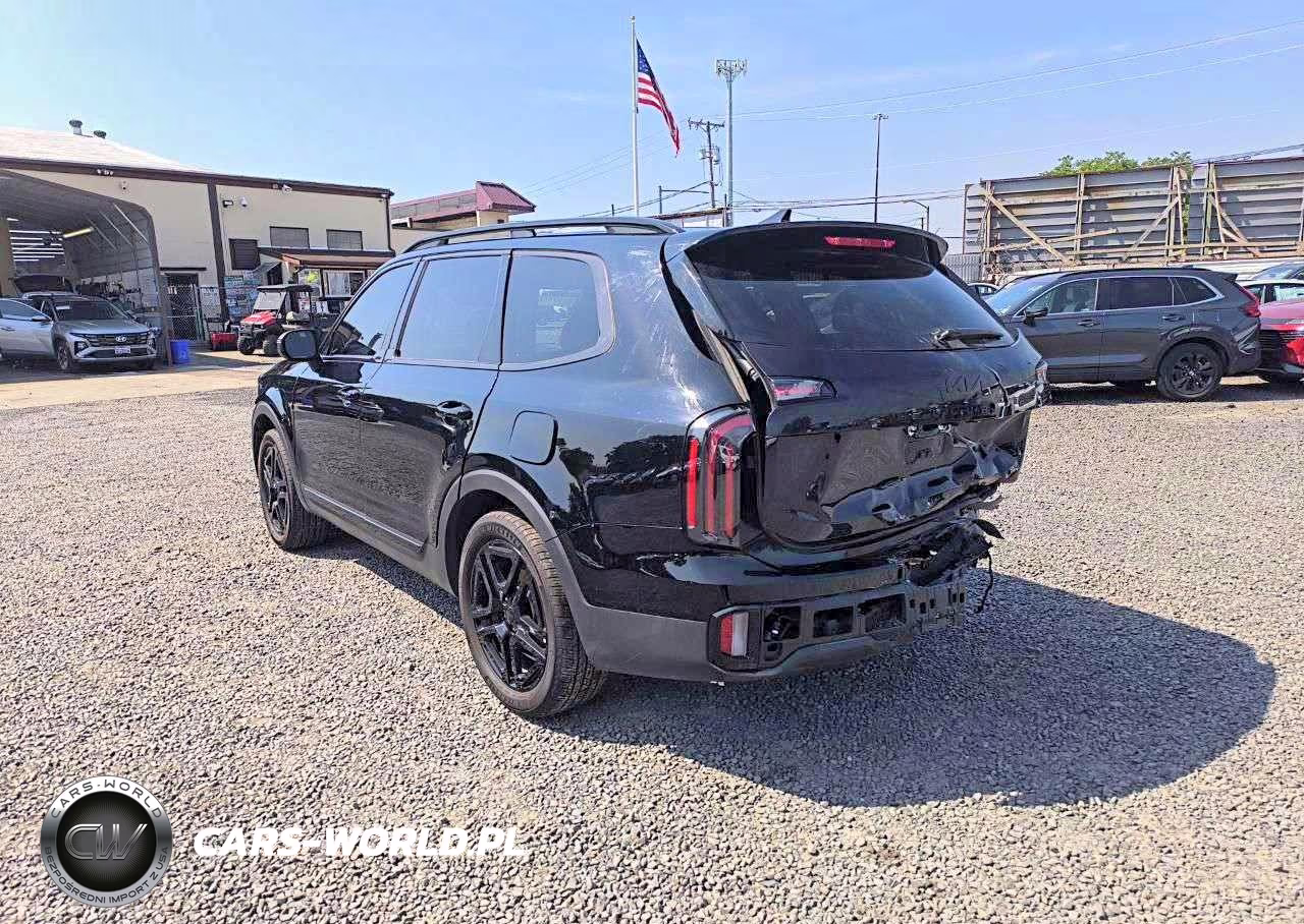 2025 Kia Telluride Ex X-Line VIN:5XYP3DGC2SG614607 - 2