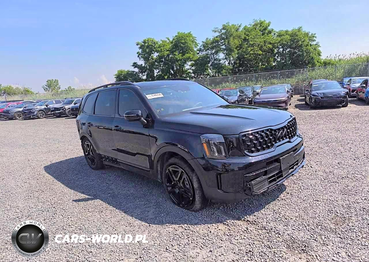 2025 Kia Telluride Ex X-Line VIN:5XYP3DGC2SG614607 - 3