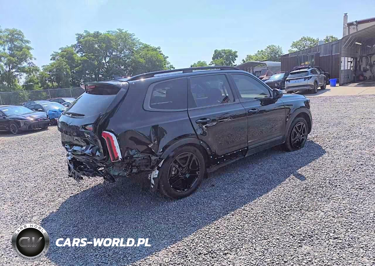 2025 Kia Telluride Ex X-Line VIN:5XYP3DGC2SG614607 - 4
