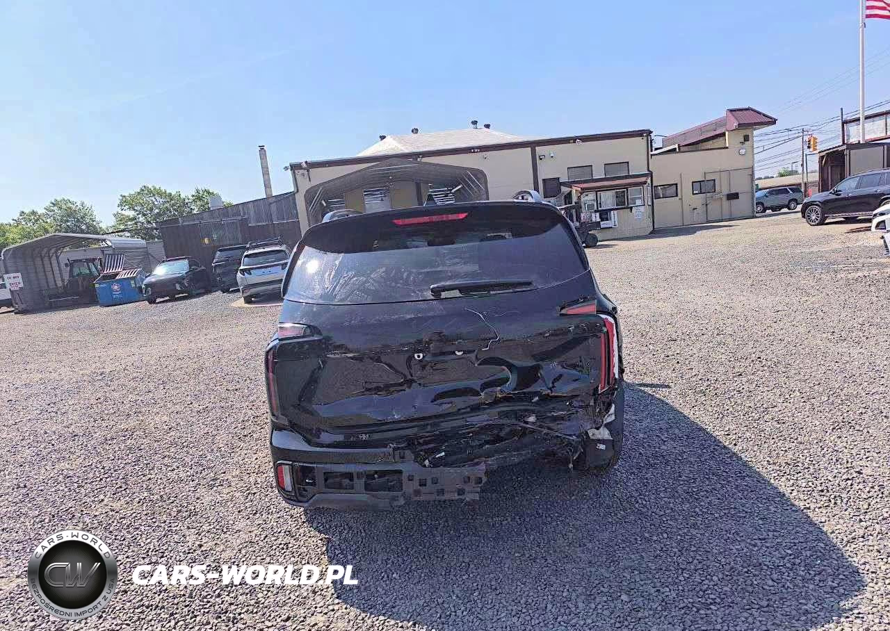 2025 Kia Telluride Ex X-Line VIN:5XYP3DGC2SG614607 - 6