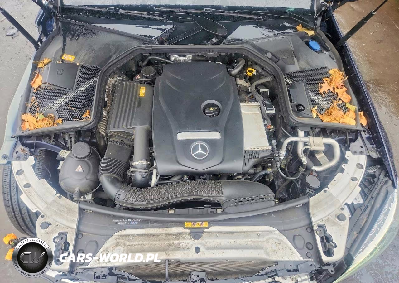 2016 Mercedes-Benz C 300 4Matic VIN:55SWF4KB9GU153873 - 11