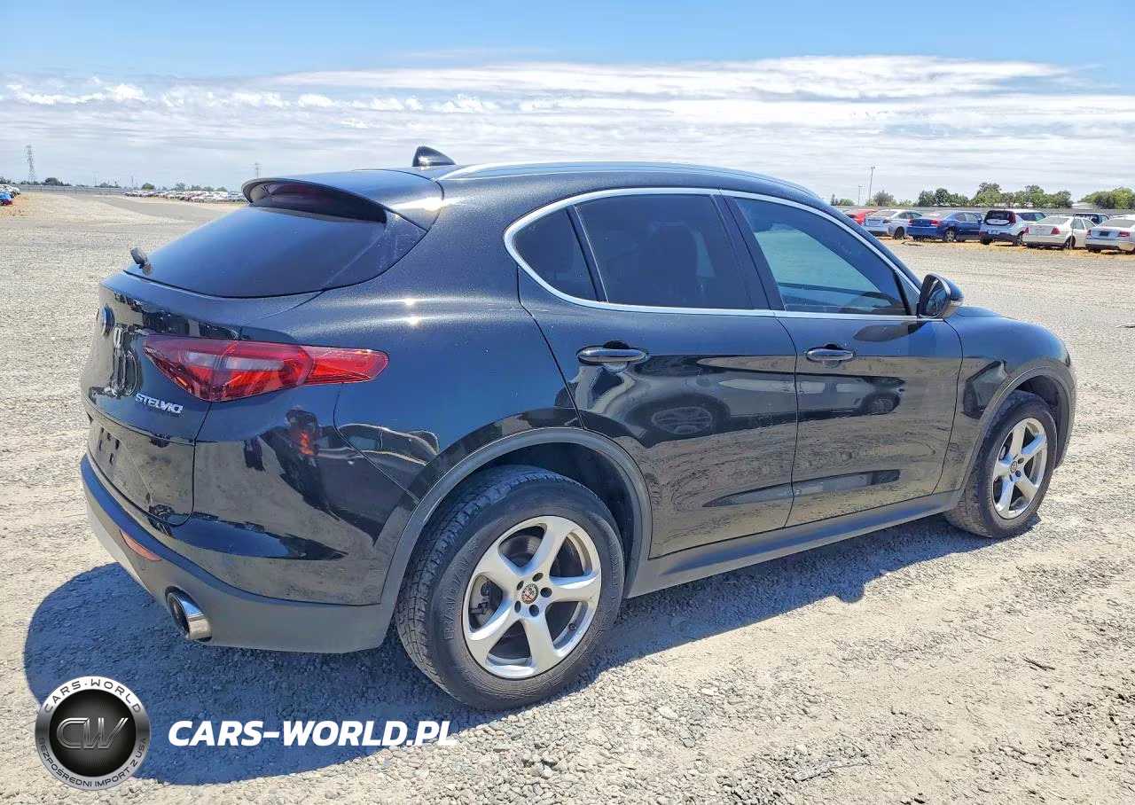 2018 Alfa Romeo Stelvio VIN:ZASFAKAN8J7C24310 - 3