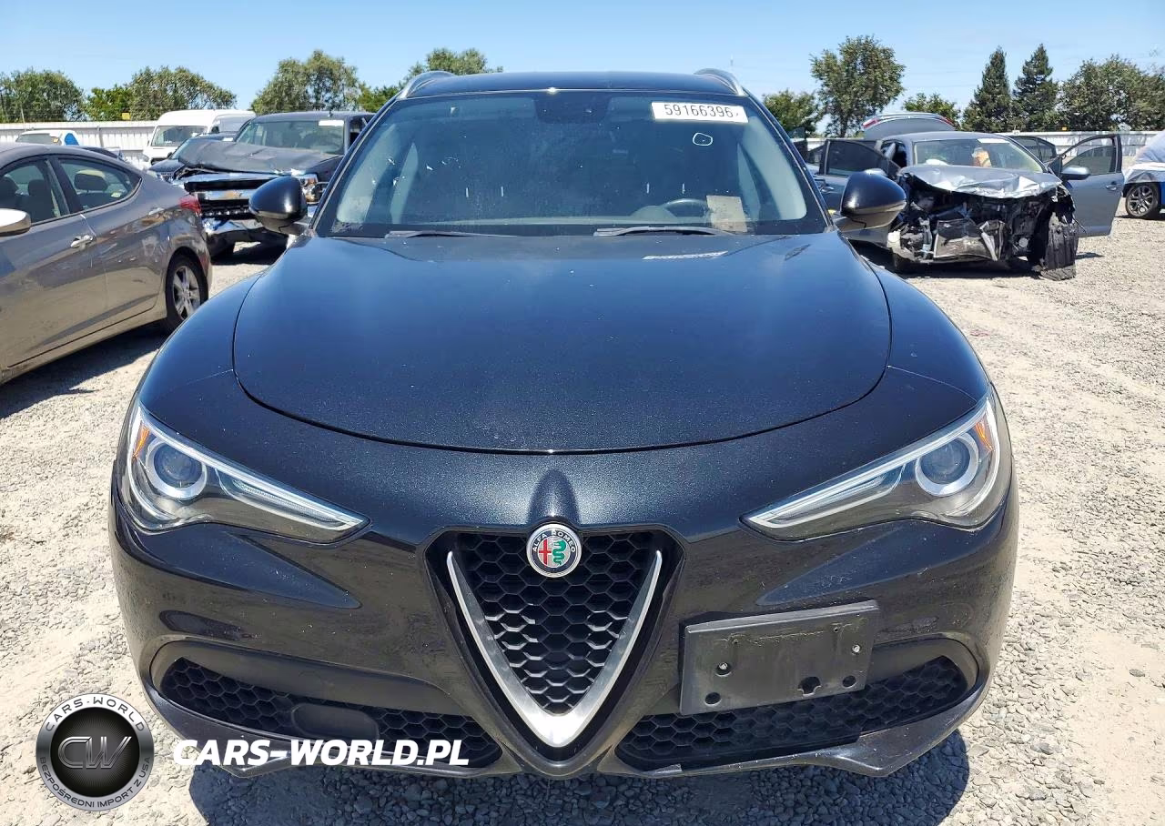 2018 Alfa Romeo Stelvio VIN:ZASFAKAN8J7C24310 - 5