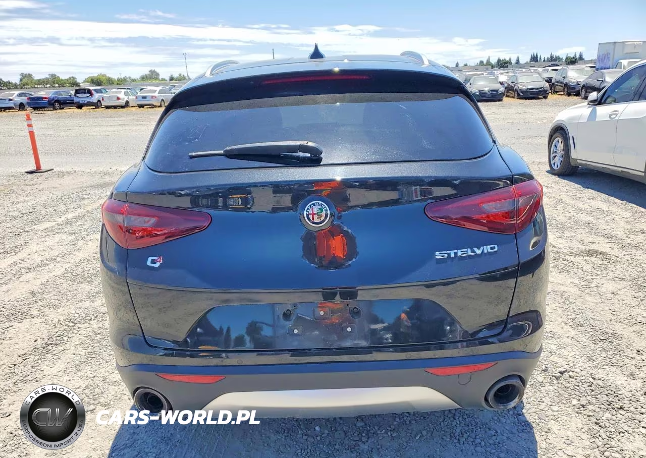 2018 Alfa Romeo Stelvio VIN:ZASFAKAN8J7C24310 - 6