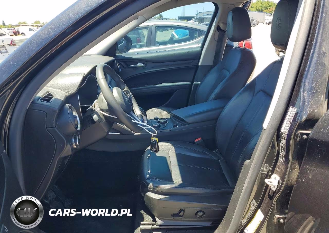 2018 Alfa Romeo Stelvio VIN:ZASFAKAN8J7C24310 - 7