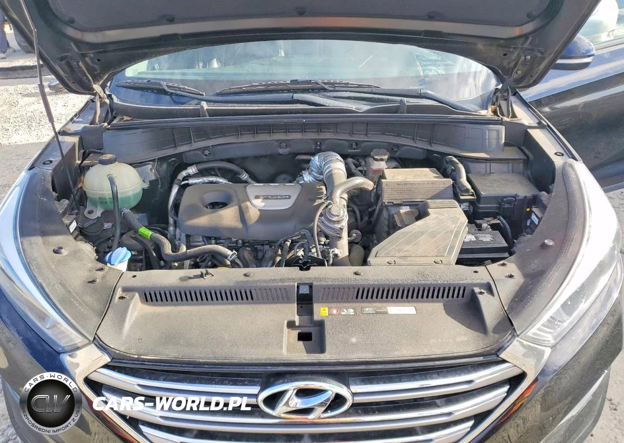 2017 Hyundai Tucson Limited VIN:KM8J3CA20HU598586 - 12