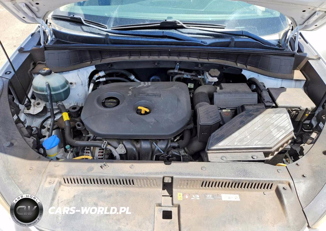 2018 Hyundai Tucson Sel Plus VIN:KM8J33A49JU648036 - 12