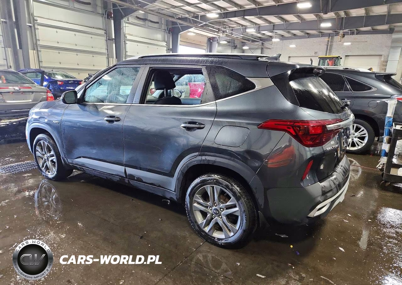 2021 Kia Seltos S VIN:KNDEUCAA4M7133666 - 2
