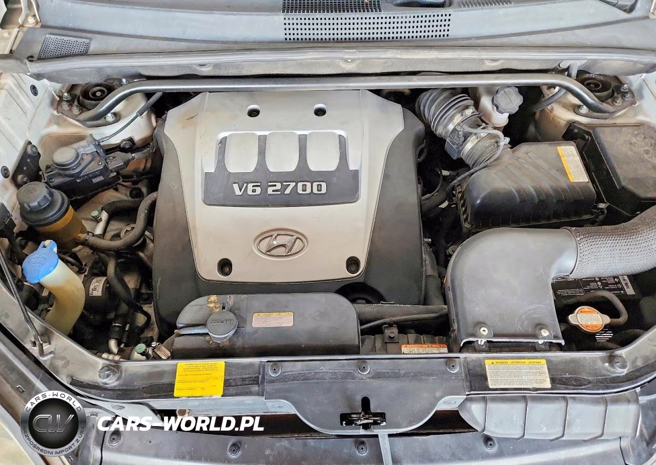 2006 Hyundai Tucson Gls VIN:KM8JN72D56U300807 - 12